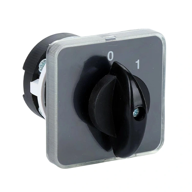 LW31 20A OFF-ON Combinaison de commutateur à came rotatif à deux positions